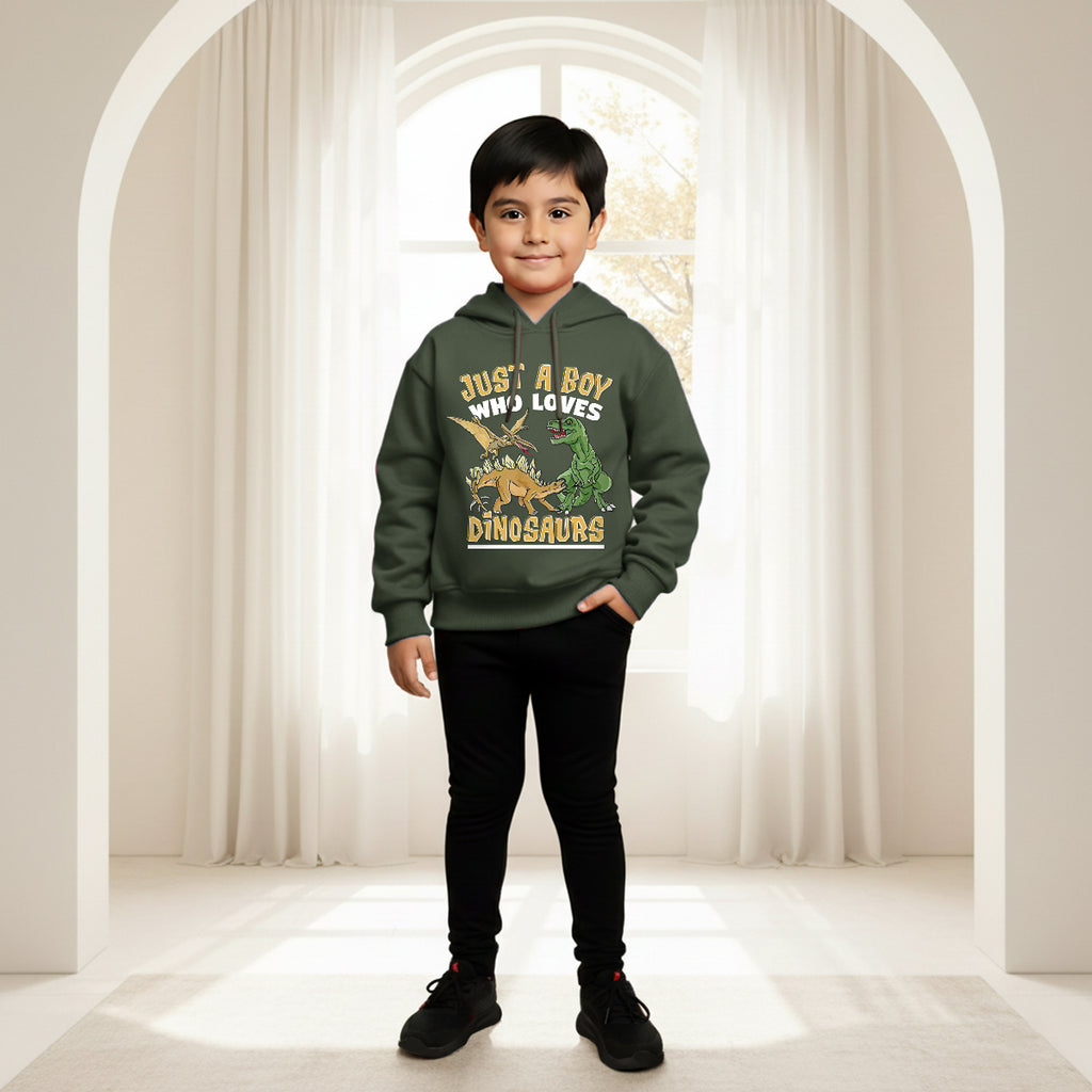 Boys Green Dinosaur Graphics Hoodies Sweatshirt Sweatshirts & Hoodies Green 1-2 Y