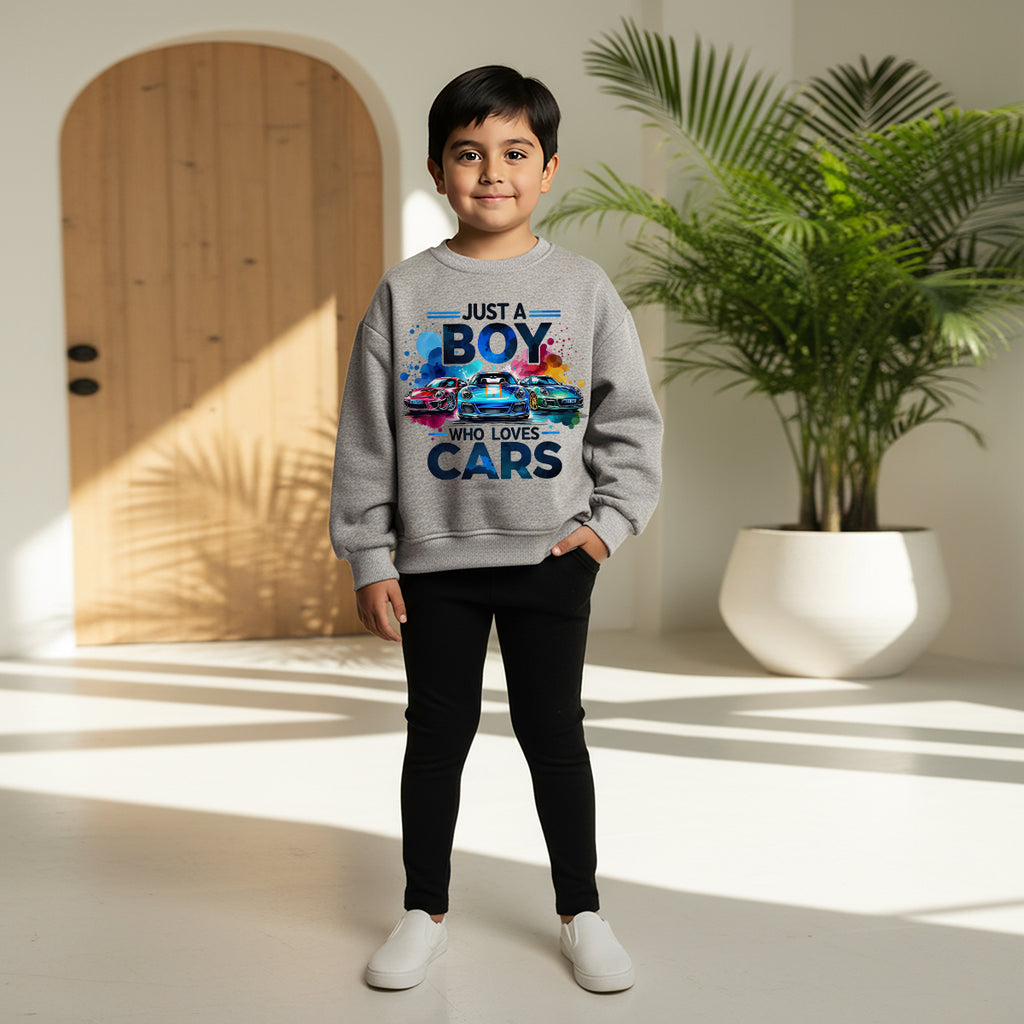 Boys Grey Car Graphics Round Neck Sweatshirt Sweatshirts & Hoodies Grey 1-2 Y