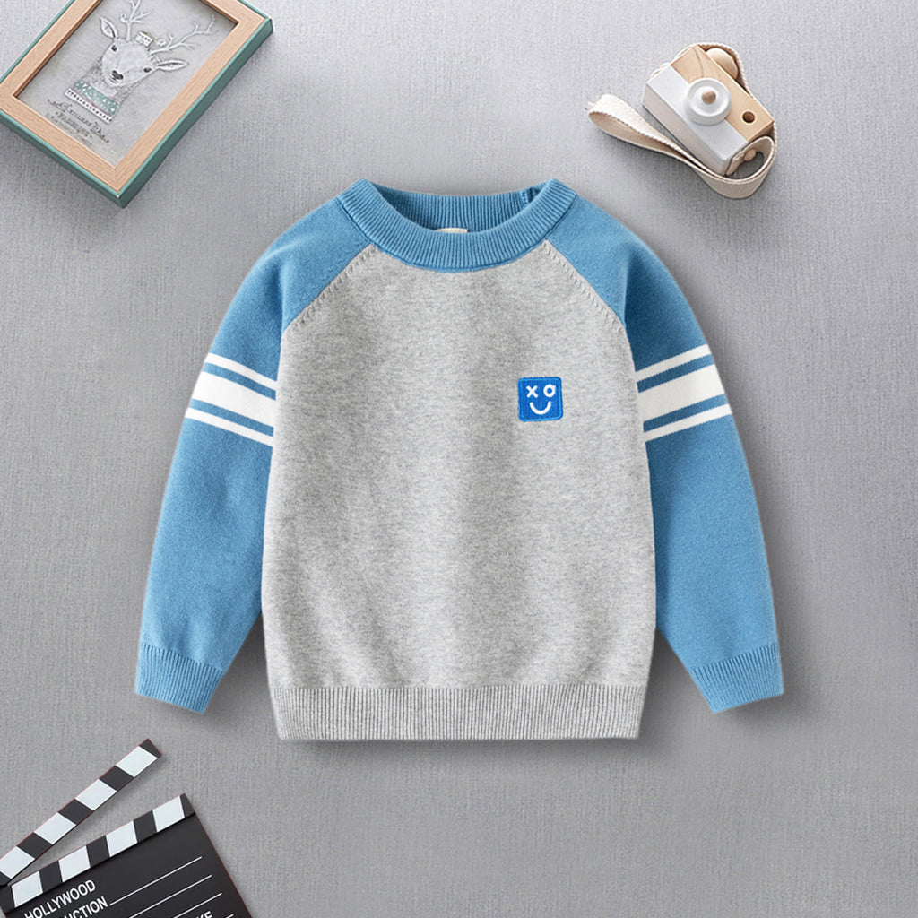 Boys Grey Solid Raglan Sleeves Regular Sweater Sweaters & Cardigans Grey 2-3 Y