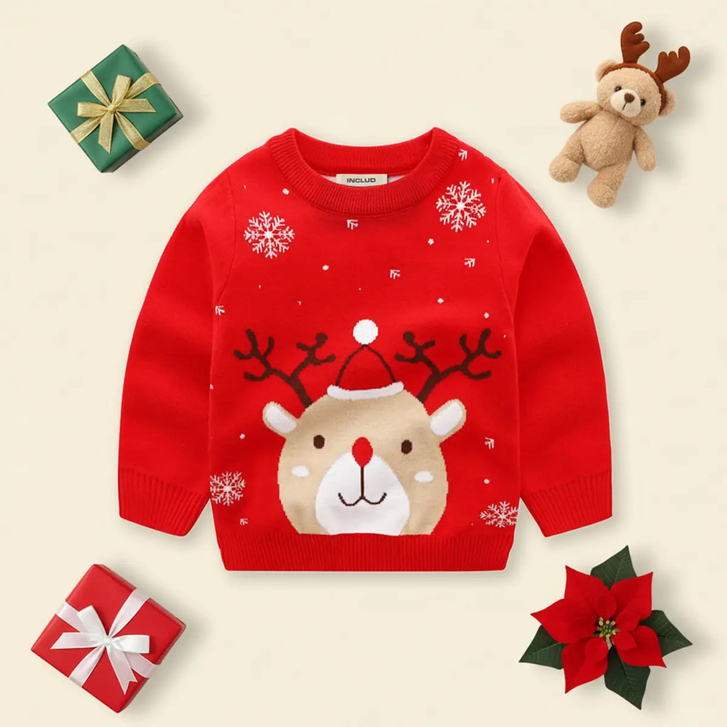 Boys Red Sweater With Cute Reindeer and Snowflake Design Sweaters & Cardigans Red 2-3 Y