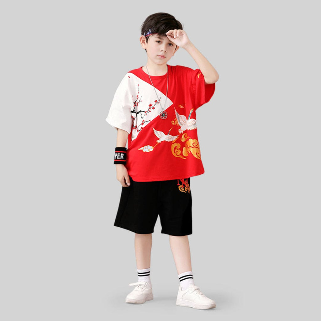Boys Graphic Short Sleeve T-Shirt With Shorts 2 pc. Sets Red 4-5 Y 