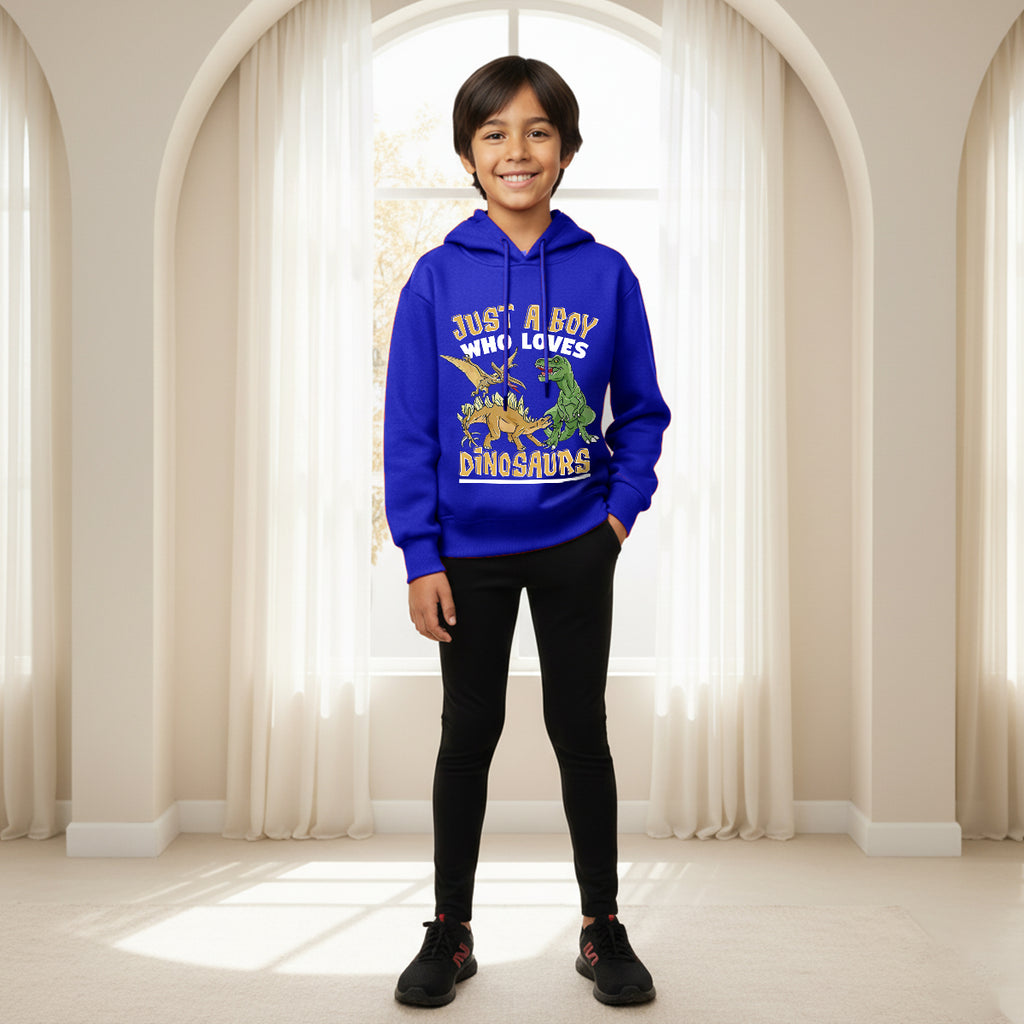 Boys Royal Blue Dinosaur Graphics Hoodies Sweatshirt Sweatshirts & Hoodies Royal Blue 1-2 Y
