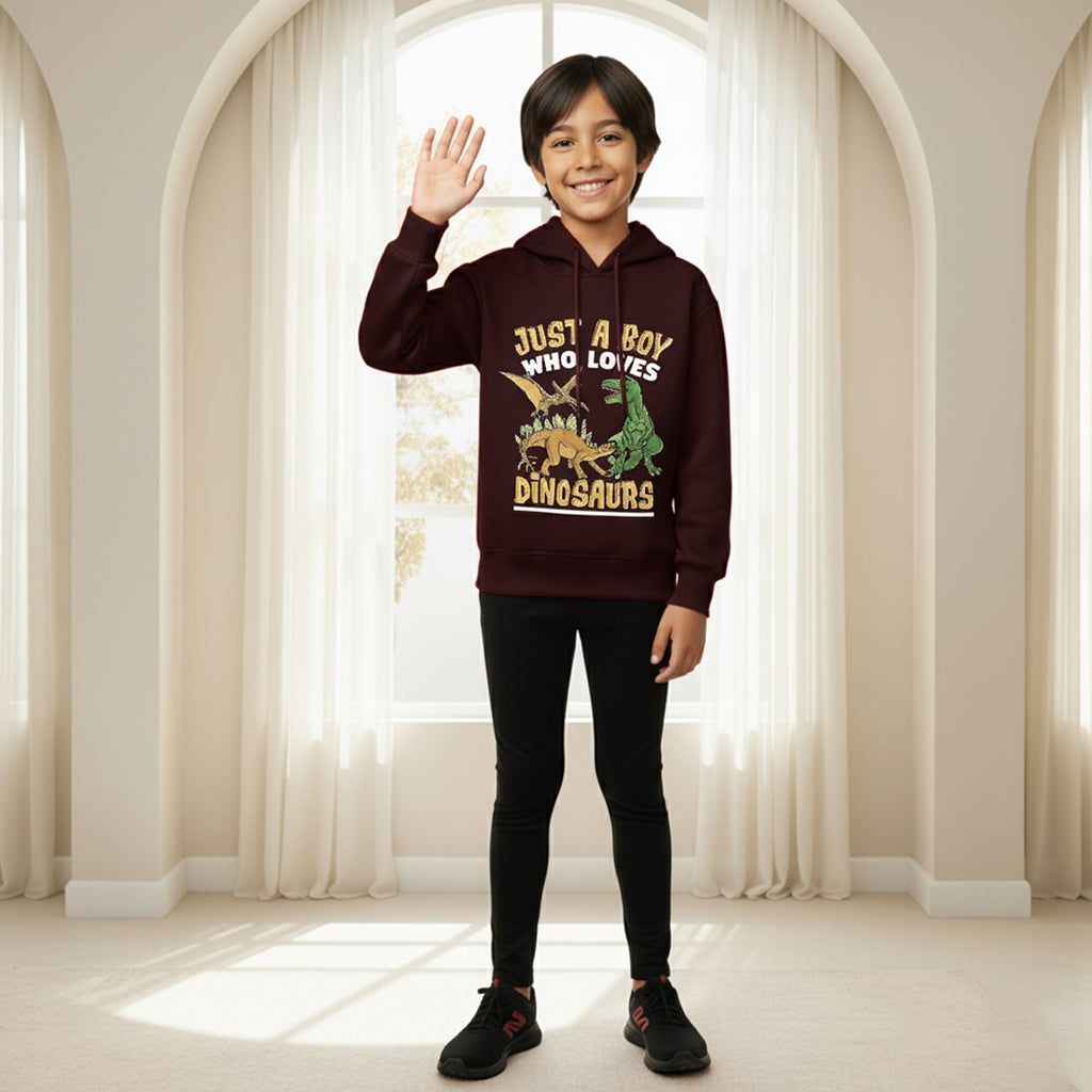 Boys Maroon Dinosaur Graphics Hoodies Sweatshirt Sweatshirts & Hoodies Maroon 1-2 Y