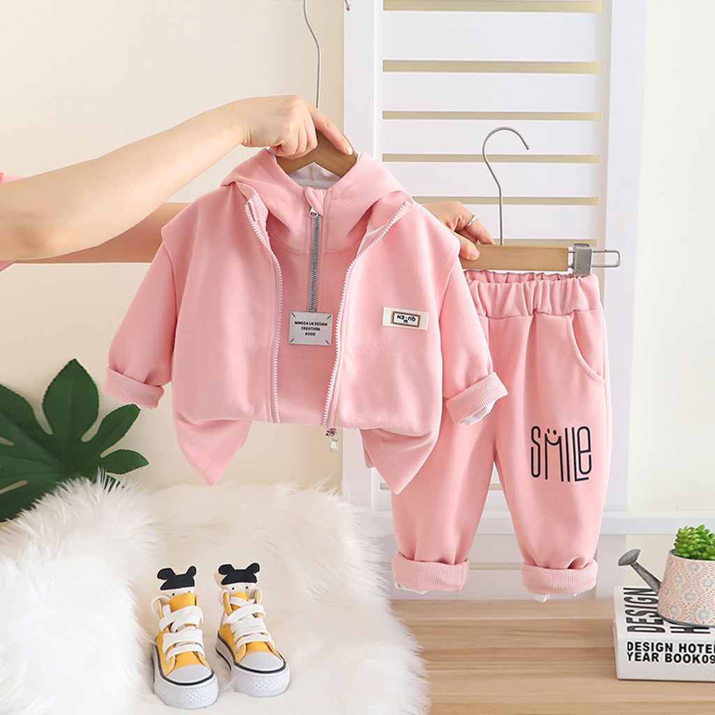 Boys Pink Solid Hooded Sweatshirt With Sleeveless Jacket & Pants Set Sets Pink 1-2 Y