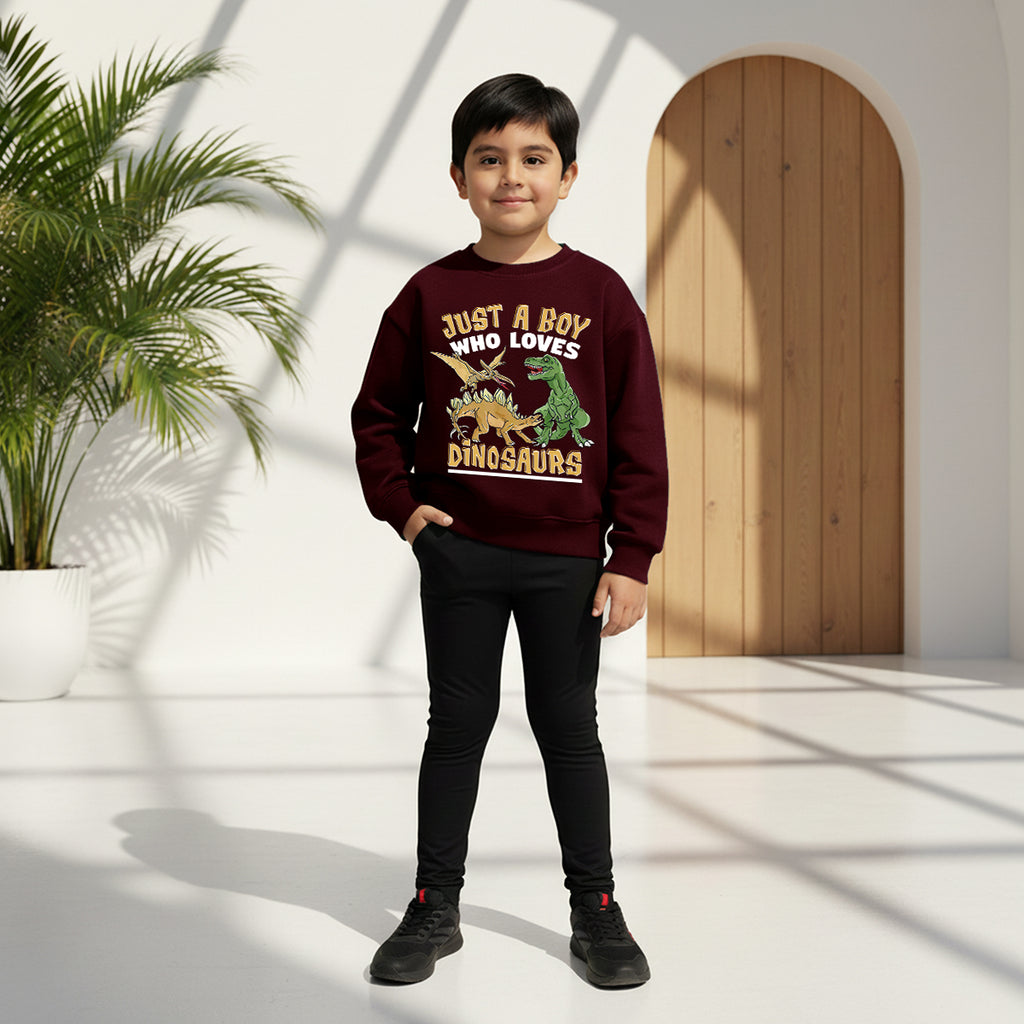 Boys Maroon Dinosaur Graphics Round Neck Sweatshirt Sweatshirts & Hoodies Maroon 1-2 Y