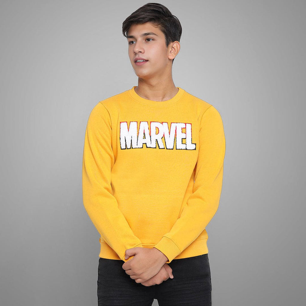 Boys Printed Full Sleeves Sweatshirt Sweatshirts & Hoodies Grey 7-8 Y 