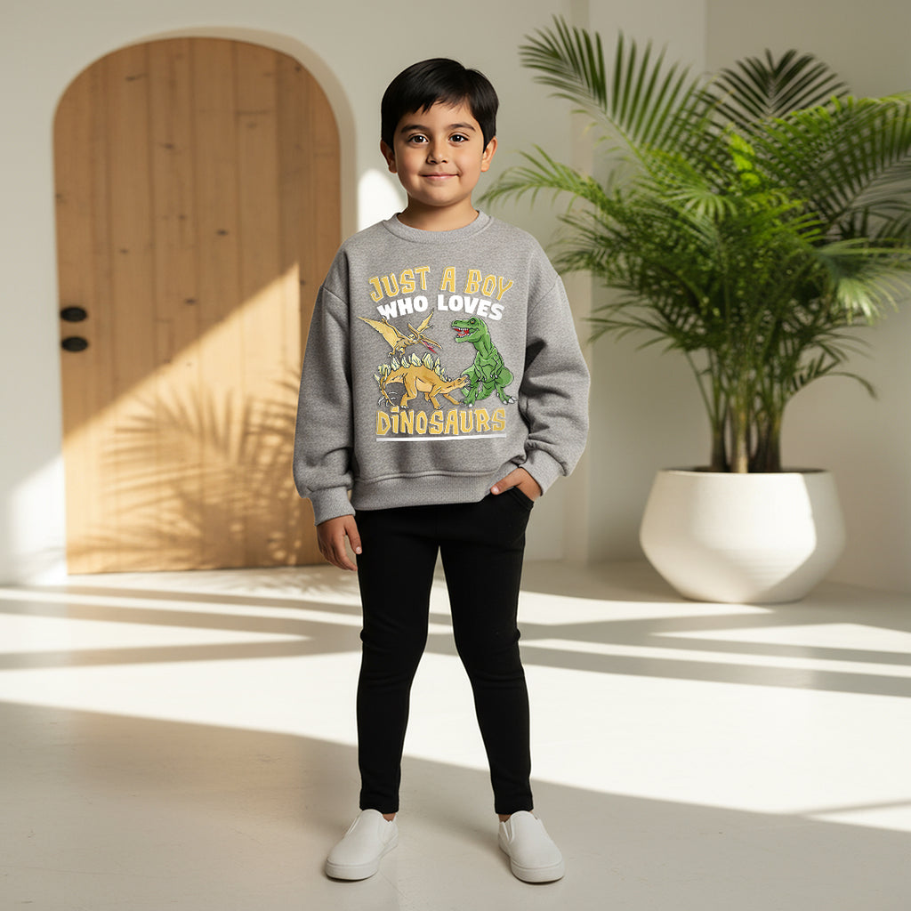 Boys Grey Dinosaur Graphics Round Neck Sweatshirt Sweatshirts & Hoodies Grey 1-2 Y