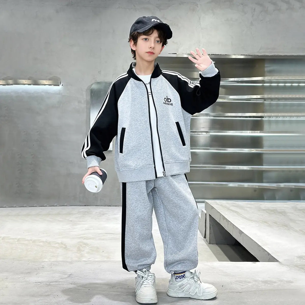 Boys Grey Embroidered Sweatshirt With Jogger Sets Sets Grey 5-6 Y