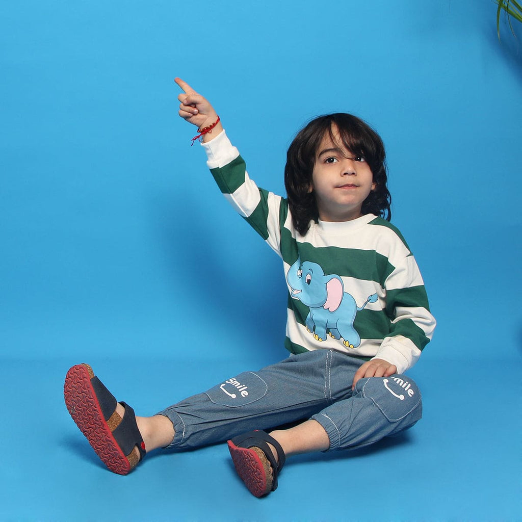 Boys Green Elephant Graphic Sweatshirt With Denim Pants Set Sets Green 1-2 Y