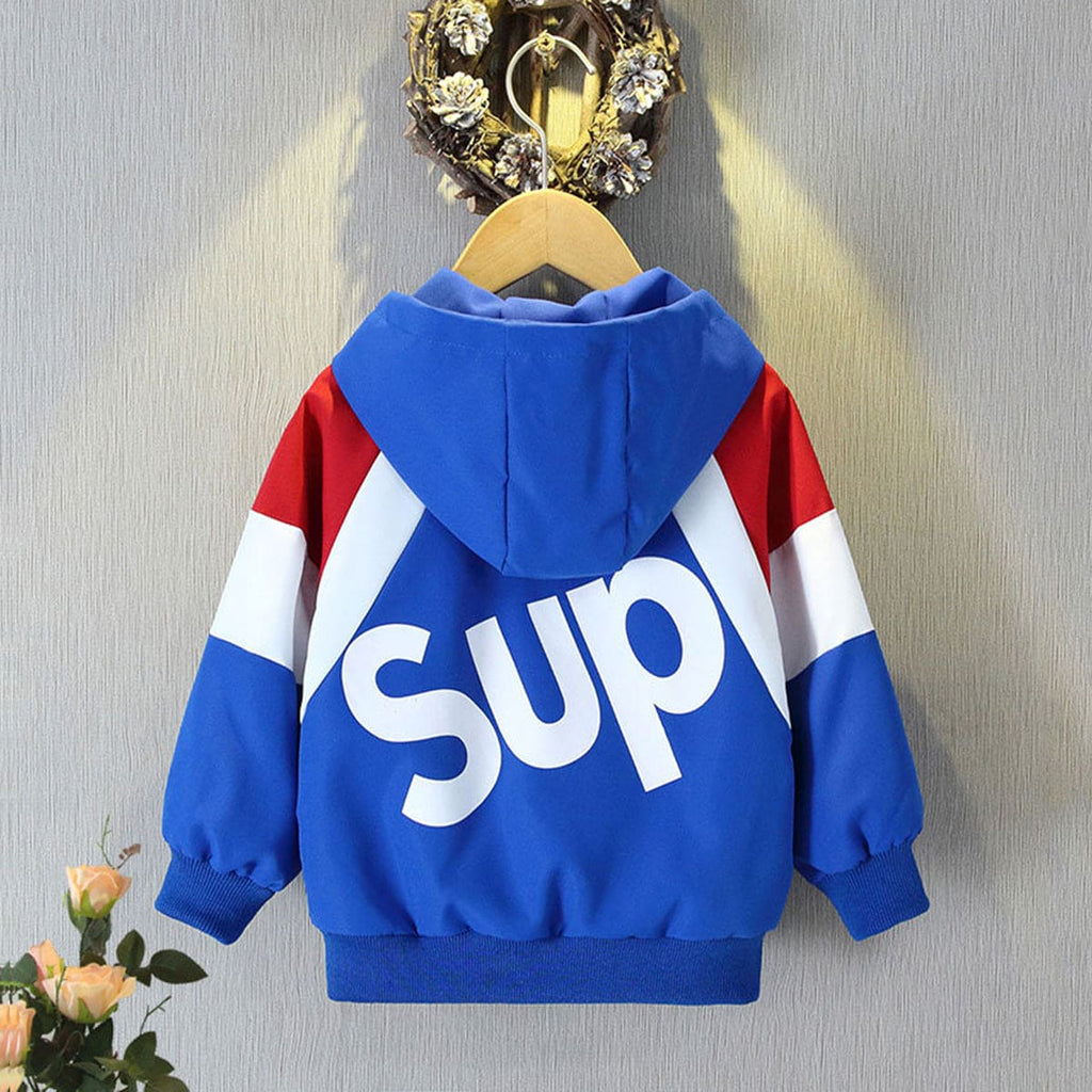 Boys Blue Printed Trendy Color Blocked Hooded Jacket Sweatshirts & Hoodies Blue 1-2 Y 