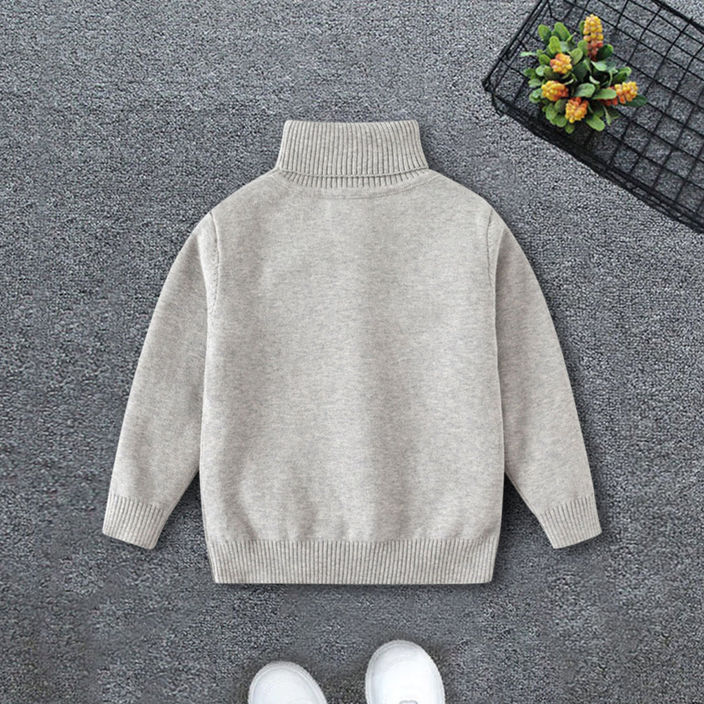 Boys Grey Textured Turtleneck Sweater Sweaters & Cardigans Grey 2-3 Y