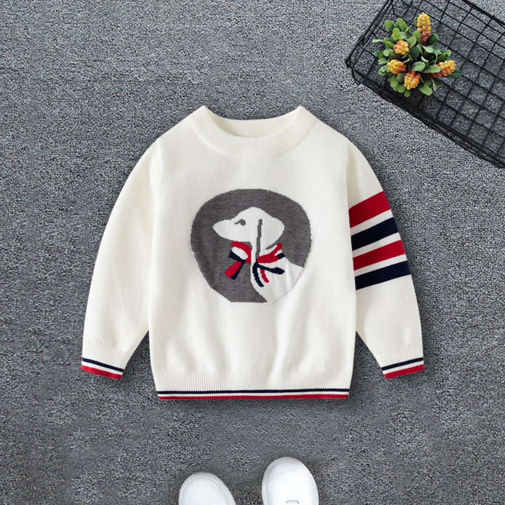 Boys White Regular Sweater With Self-Design Puppy Patterns Sweaters & Cardigans White 2-3 Y