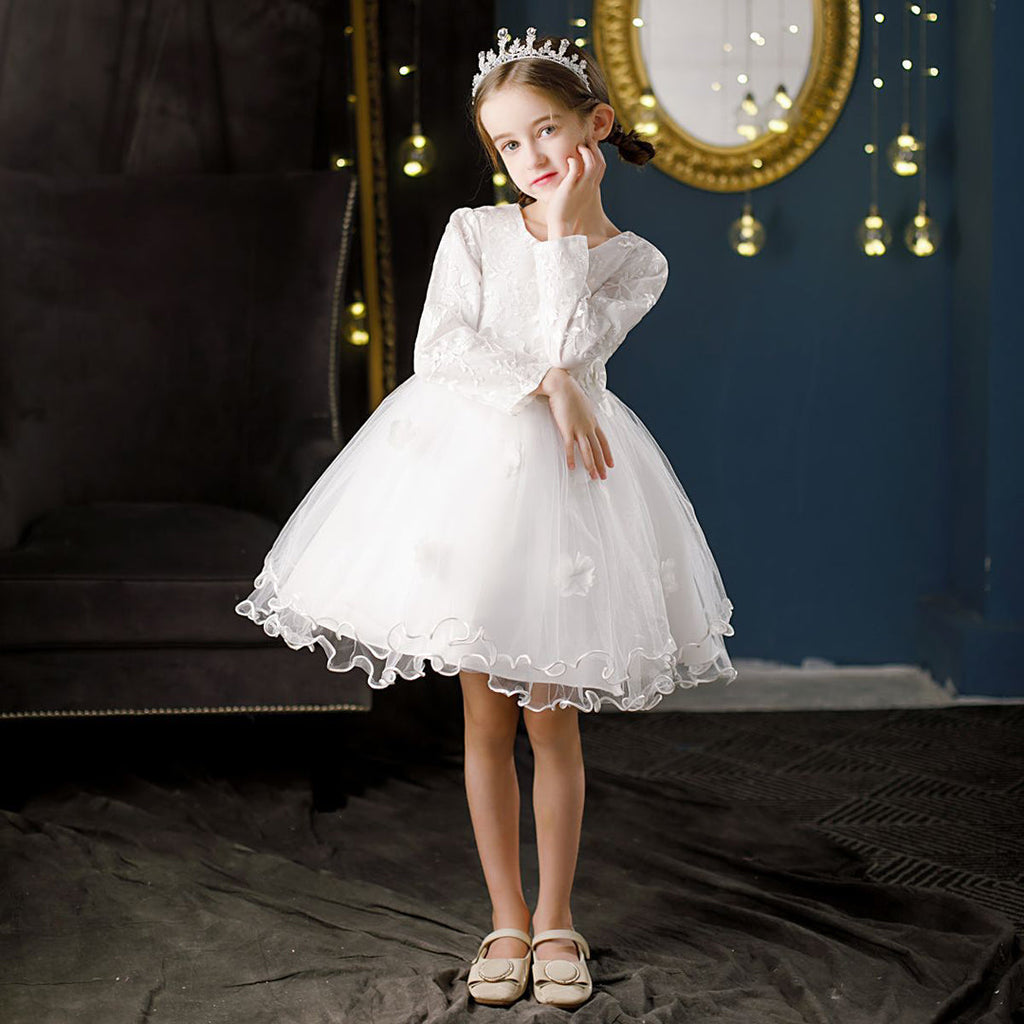 Girls Embroidered Full Sleeves Tulle Party Dress Casual Dresses   