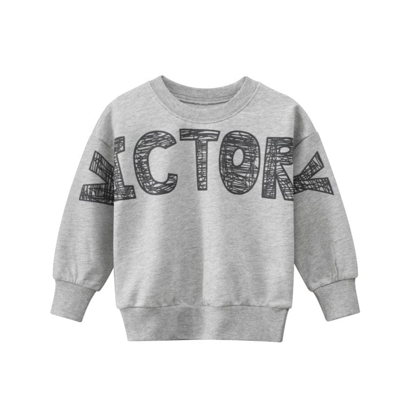 Boys Grey Long Sleeves Printed Sweatshirt Sweatshirts & Hoodies Grey 1-2 Y