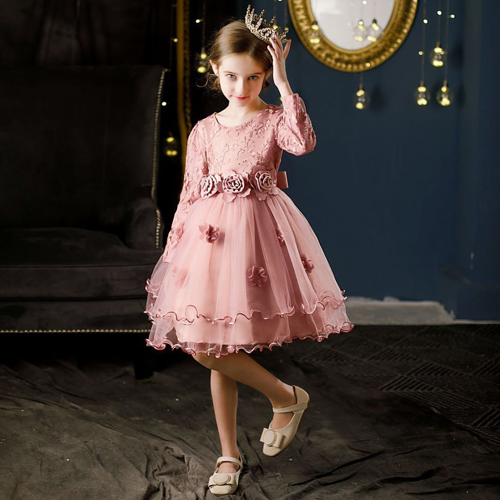 Girls Embroidered Full Sleeves Tulle Party Dress Casual Dresses Pink 4-5 Y 