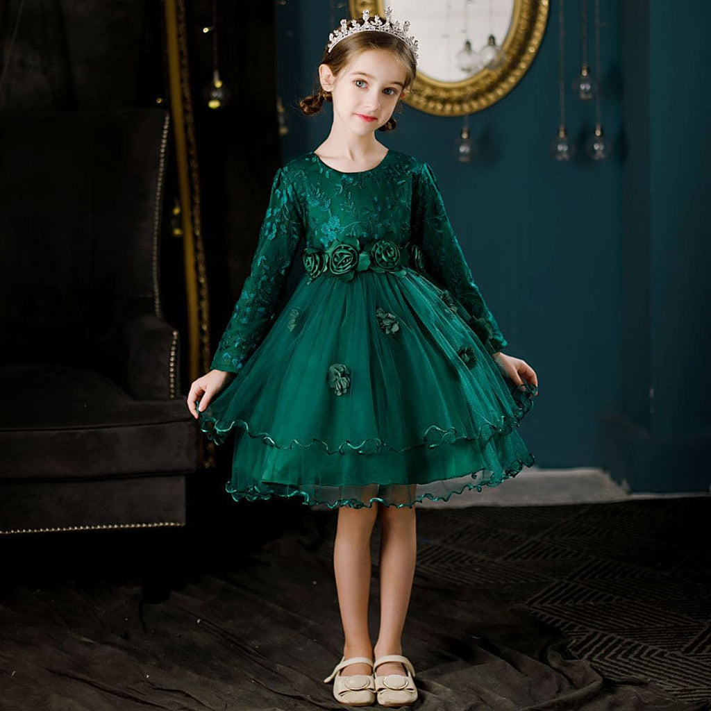 Girls Embroidered Full Sleeves Tulle Party Dress Casual Dresses Green 4-5 Y 
