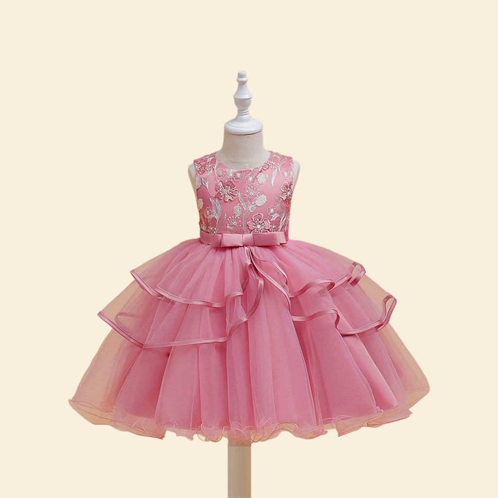 Girls Embroidered Fit & Flare Party Dress Party Dresses Pink 2-3 Y 
